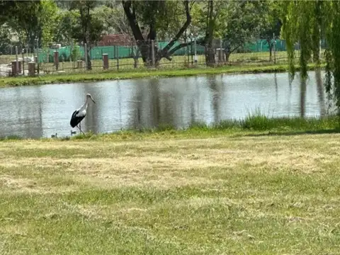 Terreno en Venta en Casuarinas Del Pilar, USD 68.000