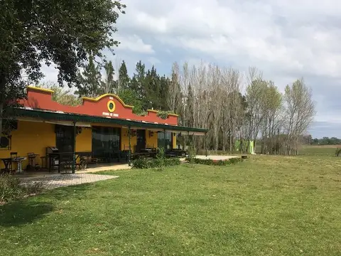 VENTA CAMPO HOTEL CAPILLA DEL SEÑOR 10 HECTÁREAS CHACRA