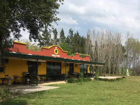Camino de la feria s/n.