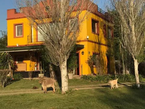 Camino de la feria s/n.