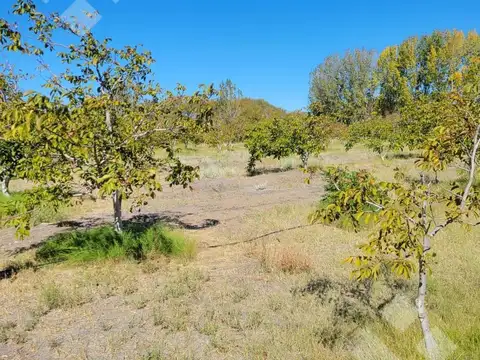 VENTA Lote 2440 m2 - Zona AFR Nueva Esperanza, Senillosa