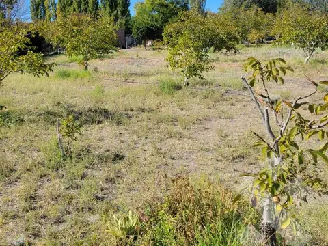 Terreno en Senillosa