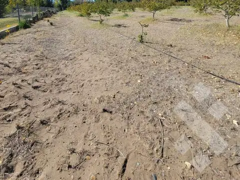 Terreno en Venta 24  mts Fondo