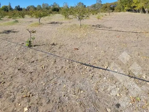 Terreno en Venta de 2440,0 m2