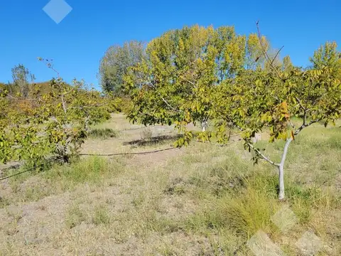 Terreno en Venta en Senillosa, USD 55.000