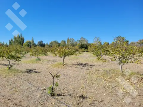 Terreno en Venta en Senillosa, Confluencia
