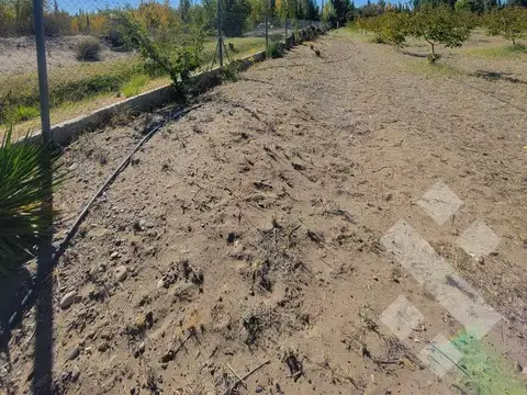 VENTA Lote 2440 m2 - Zona AFR Nueva Esperanza, Senillosa
