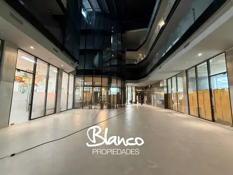 PROA PILAR 100