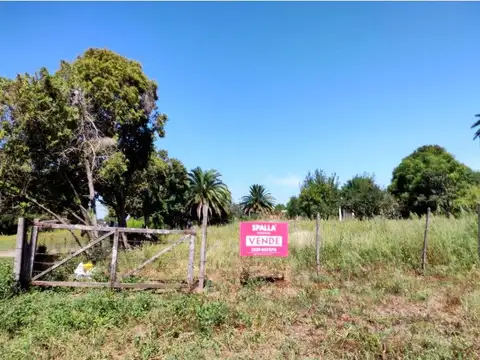 TERRENO MAINO - San Pedro