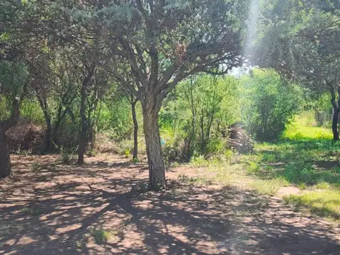 lote de 1000 m2 en Carpinteria