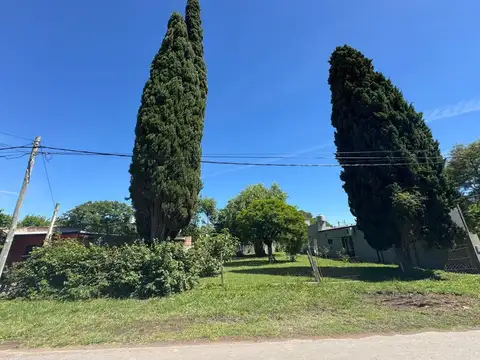 Terreno en Venta de 300,0 m2