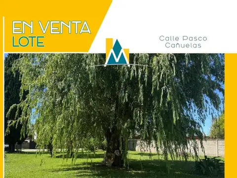 LOTES-TERRENO EN CAÑUELAS