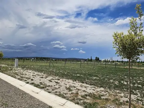 Terreno en Venta en Tupungato, USD 35.000
