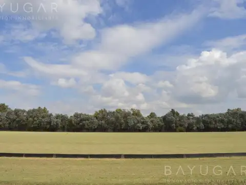 Terreno en Venta de 1200,0 m2