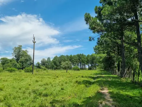 Terreno en Venta de 58800,0 m2