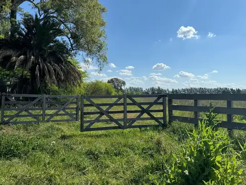 Venta Hectárea en Mercedes Prov. de Buenos Aires