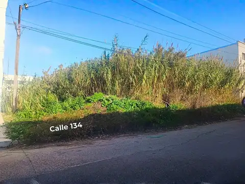 Terreno en Venta, FOT 1,2