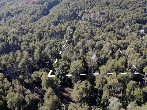 Ruta 40
