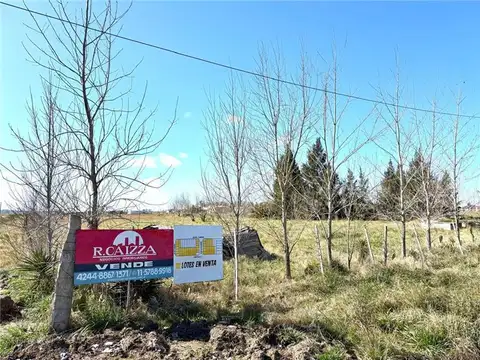 TERRENOS/FRACCIONES/LOTEOS - TERRENOS - SAN VICENTE, GRAN BS. AS. SUR