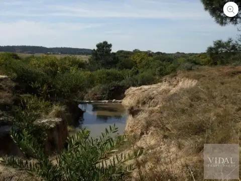 Terreno en Venta de 5202,0 m2