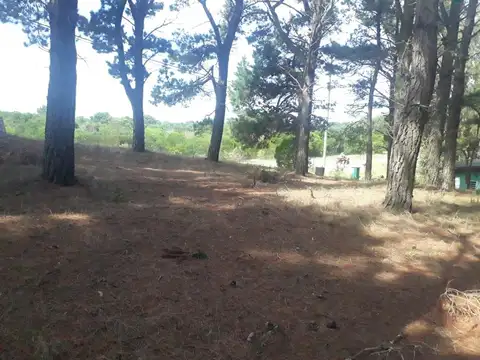 Terreno en Venta de 600,0 m2