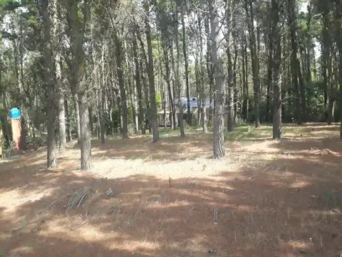 Terreno en Venta en Alfalad, USD 55.000