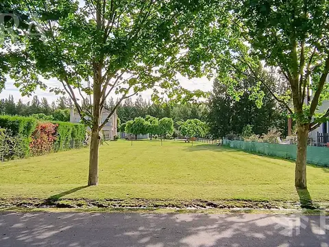 Terreno en Venta 20  mts Frente