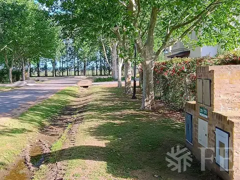 HARAS DEL SUR II LOTE 271