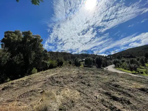 LOTE EN VENTA SAN MARTIN DE LOS ANDES - LOS MAITENES