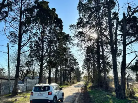 Calle 7, Villa La Donosa