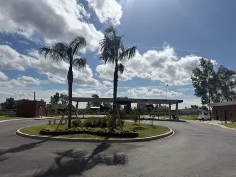 Barrio Santa Sofía 100