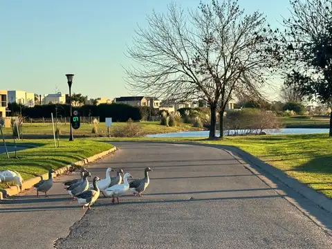 Lote en Venta, Barrio Haras Santa Maria, Escobar, GBA Norte