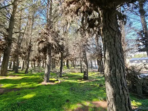 Terreno en Venta en Dina Huapi, USD 45.000