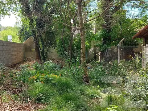 Terreno en Venta 8  mts Frente