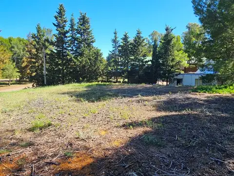 En venta/ Terreno  en  calle  San Martín de 1200 m2. Pehuen-co 100