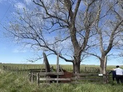 Campo en Venta con Alambrado