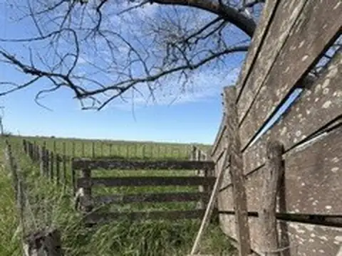 Campo en Venta con Alambrado