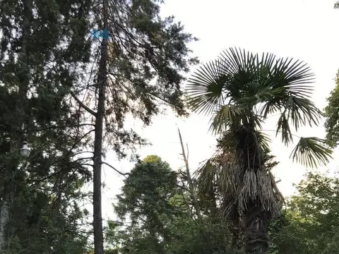 Quinta en Venta al Norte