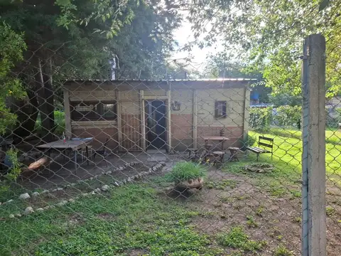 El Ombu