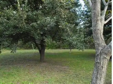 Ruta Prov 5 32