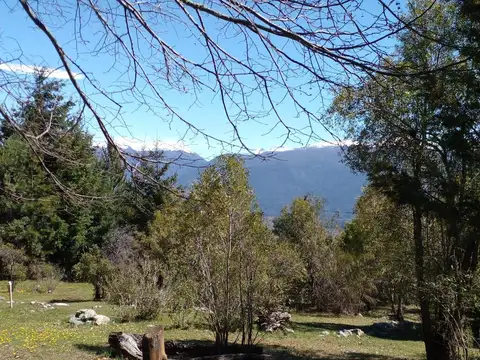 Las golondrinas, Lago Puelo