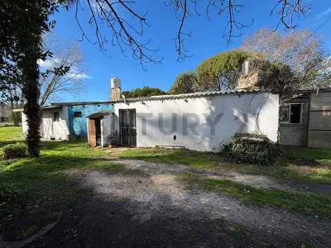 Nahuel Ruca 184 100