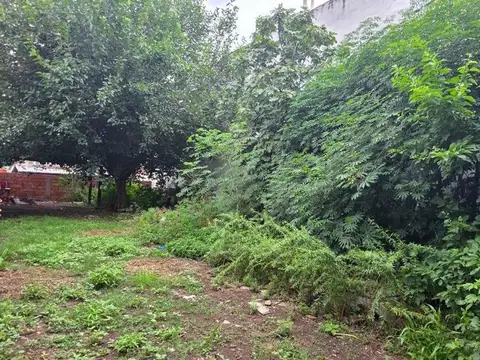 Tres Cerritos. Los Naranjos 300