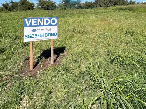 VENTA- LOTES EN SINSACATE - 1.000 m²