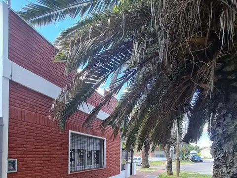 Coronel Charlone 300