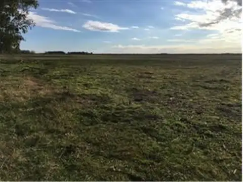 Ruta 205 Km 161