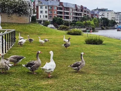 Nordelta - Islas Del Canal - Avenida Del Puerto , Piso 4