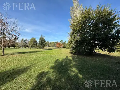 Terreno en Venta de 1312,0 m2