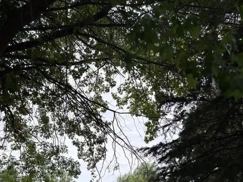 Terreno en Venta de 1100,0 m2