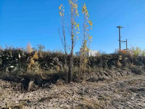 Circunvalación Roberto Mandrick